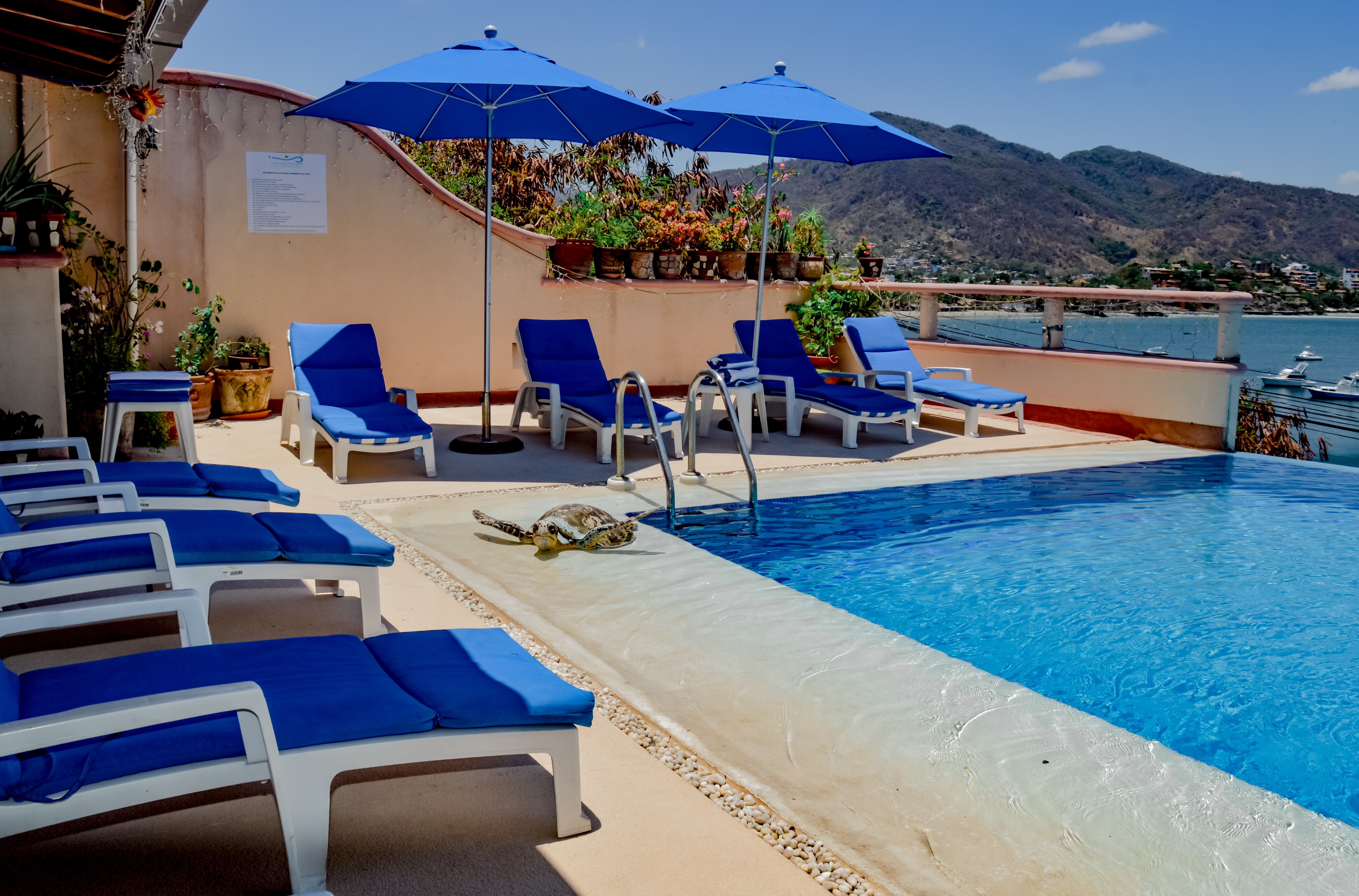 Villa del Pescador 28/33