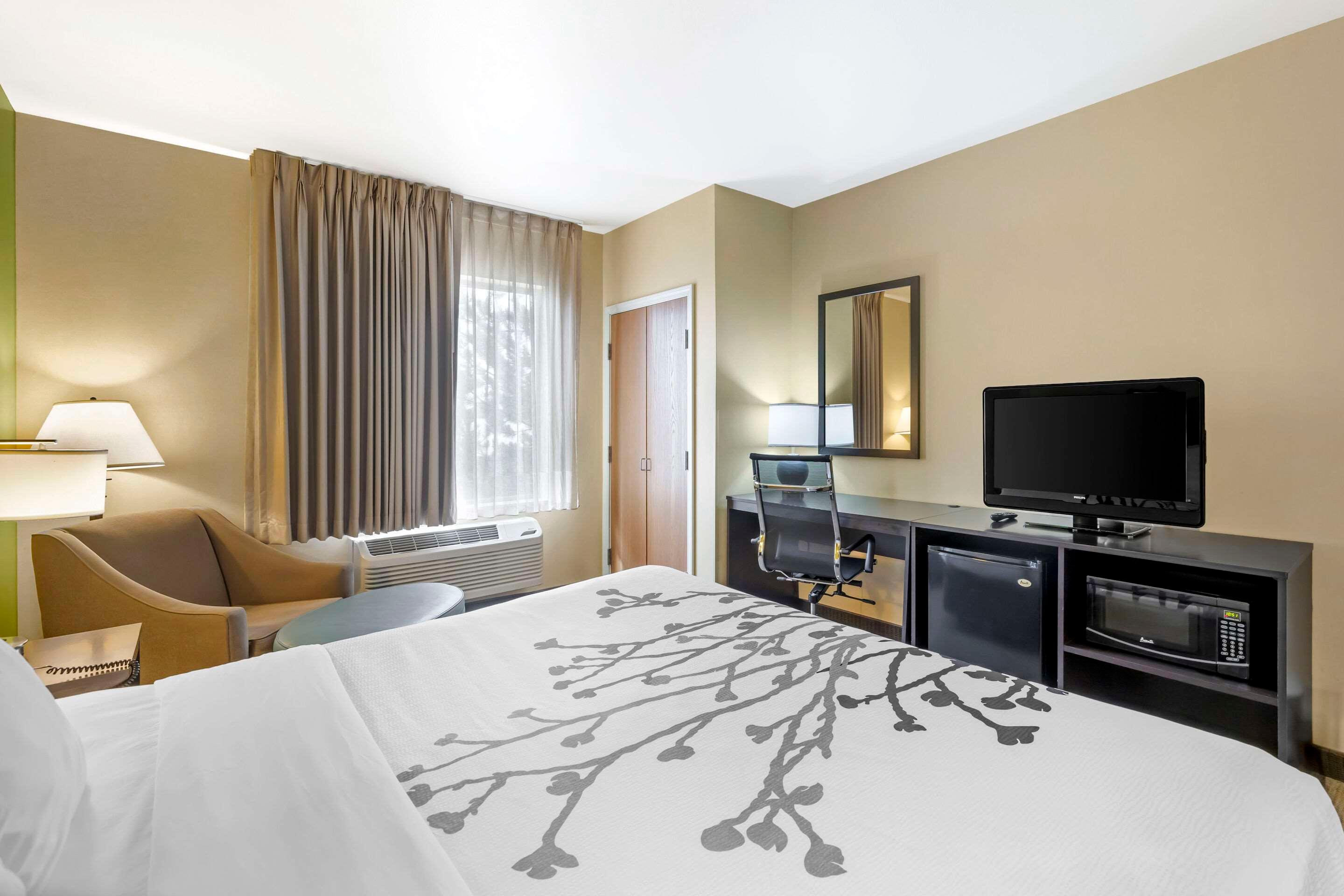 Suite, King Bed