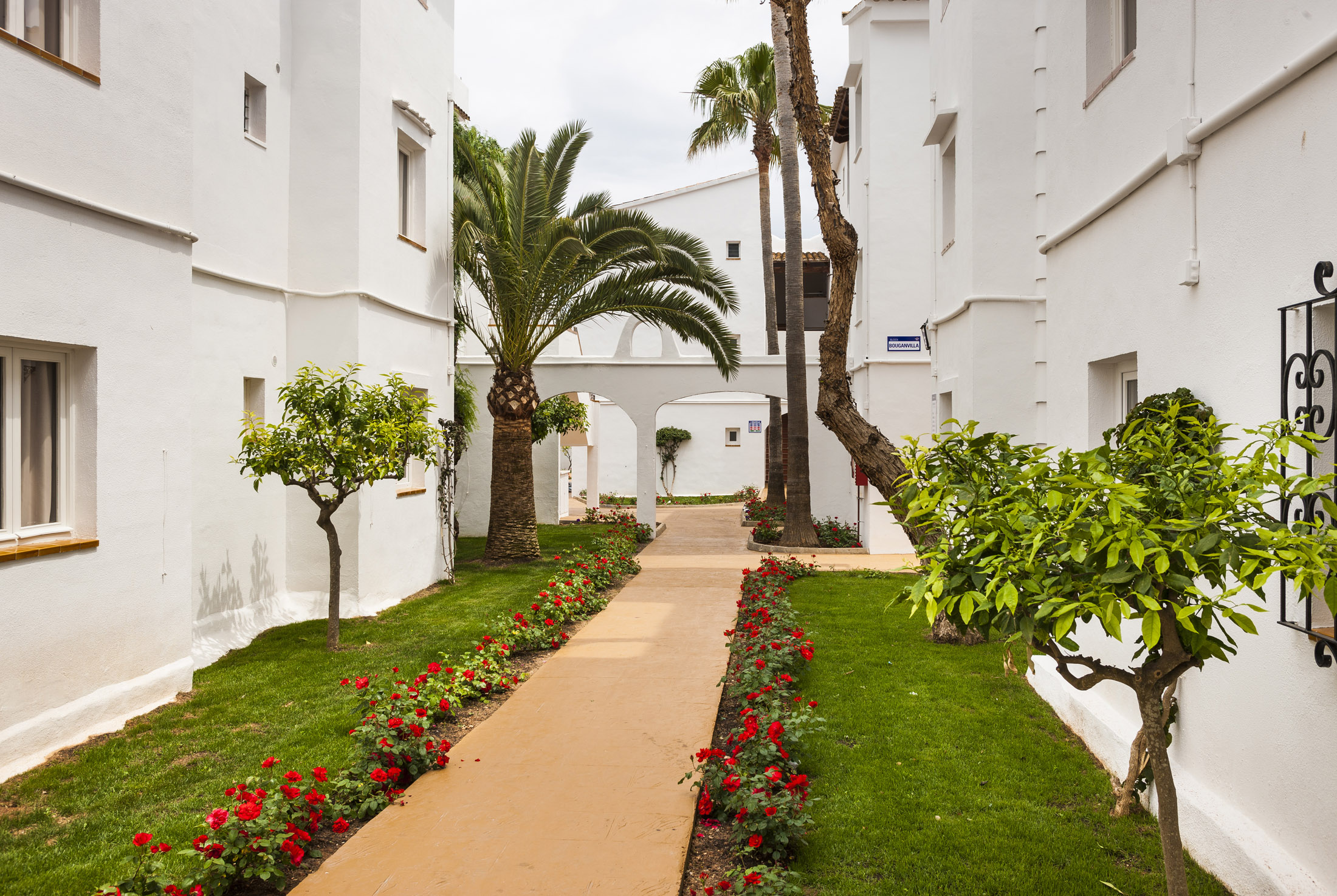 Globales Apartotel Bouganvilla 41/50