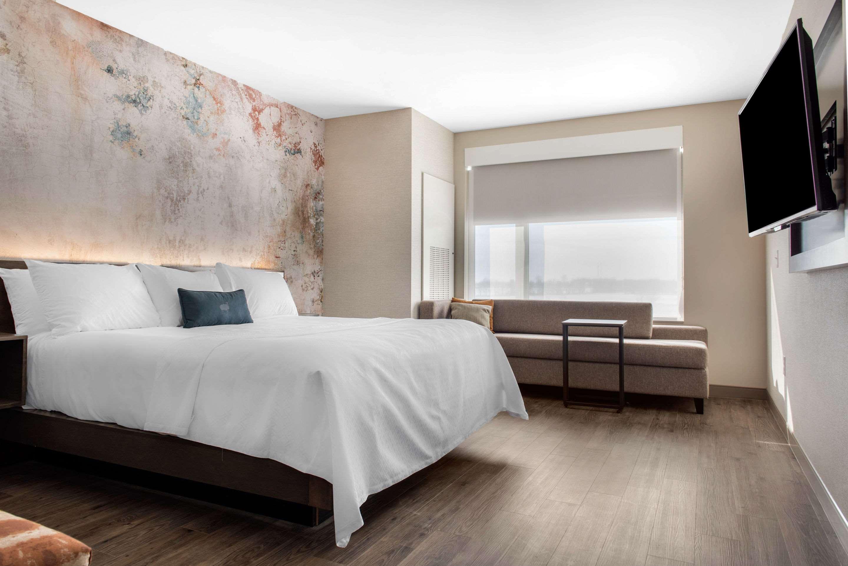 Suite, King Bed