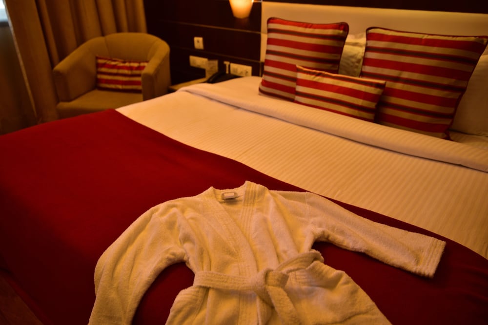 HOTEL SURYA ROYAL 17/41