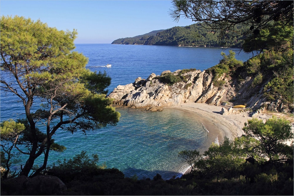Finikas Garden Beach Resort Nikiti 35/50