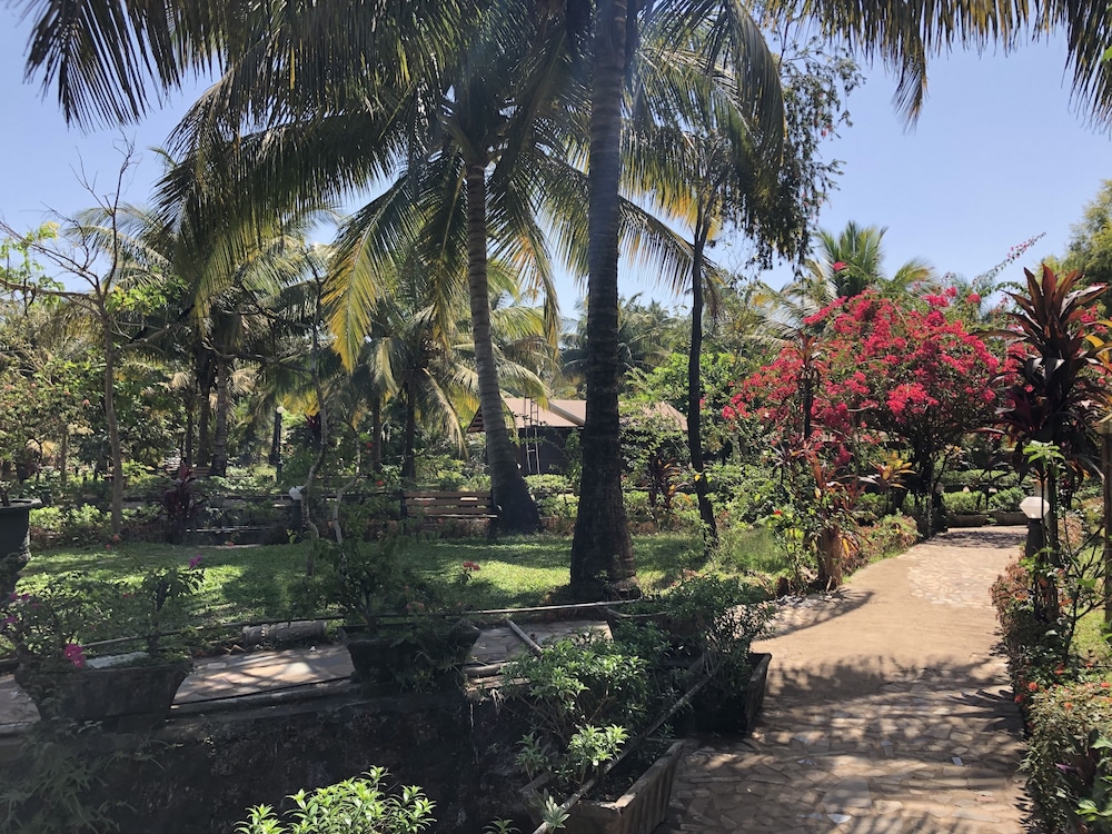 Primo Bom Terra Verde 34/50