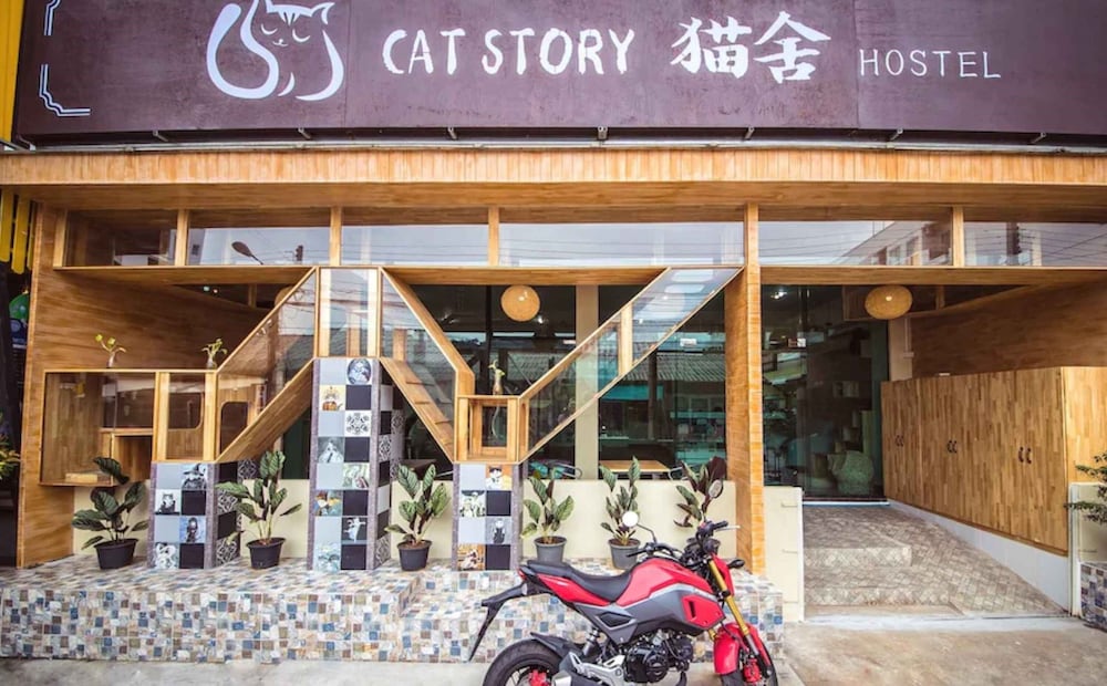 Cat Story Hotel 1/34