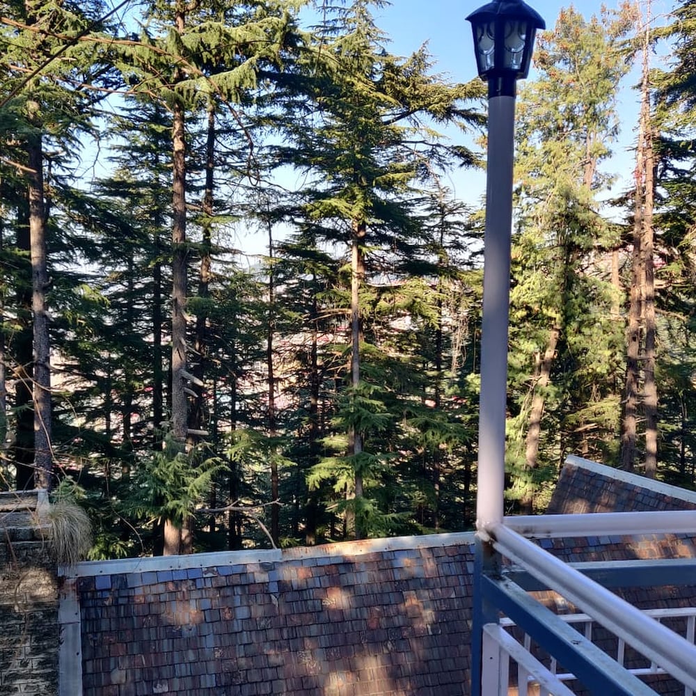 Shimla British Resort 43/50