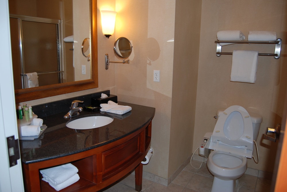 Holiday Inn Express Hotel Suites Auburn Hills 62/65
