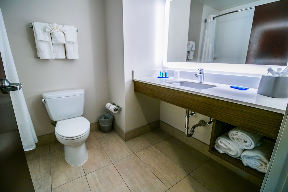 Holiday Inn Express Hotel And Suites Baton Rouge Port Allen 17/49