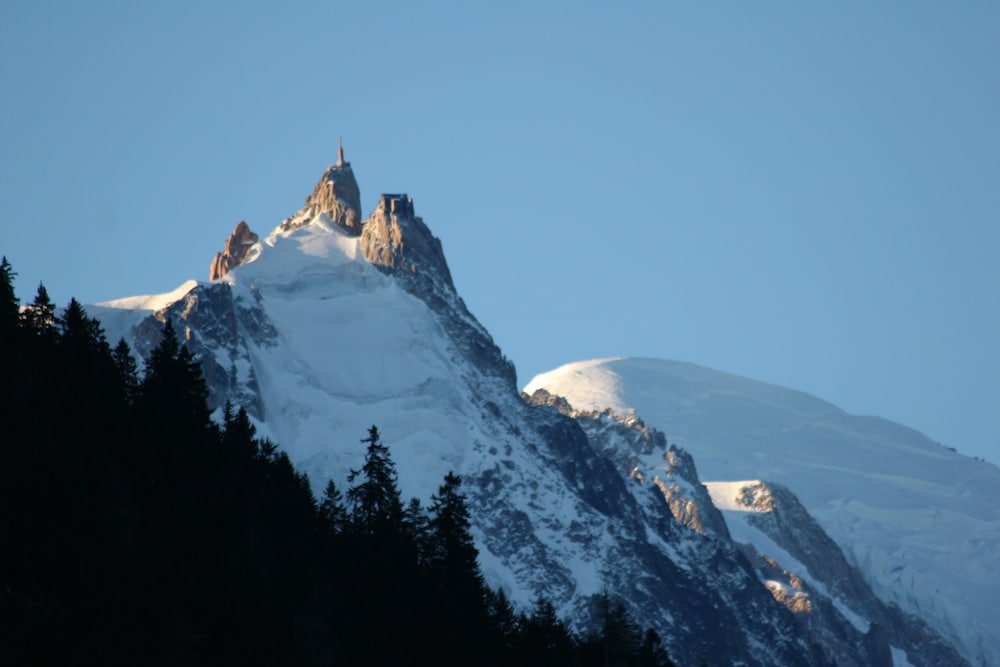 Hotel Les Grands Montets 45/49