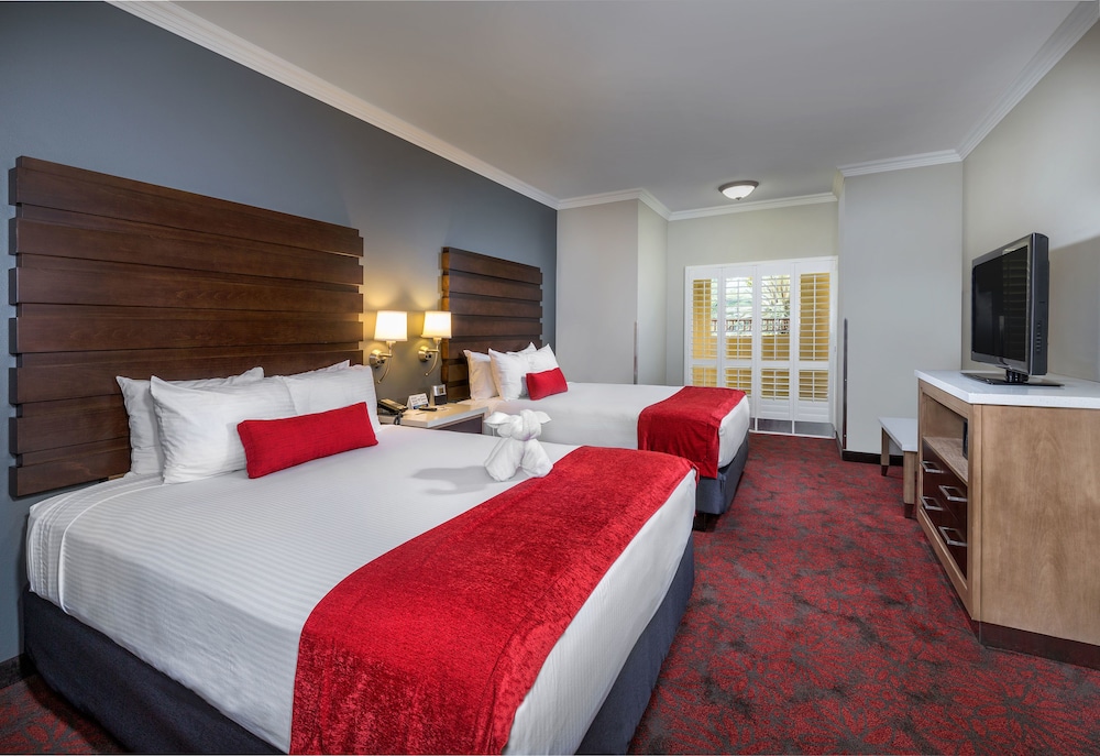 1 BEDROOM, SUITE, MULTIPLE BEDS, KITCHEN