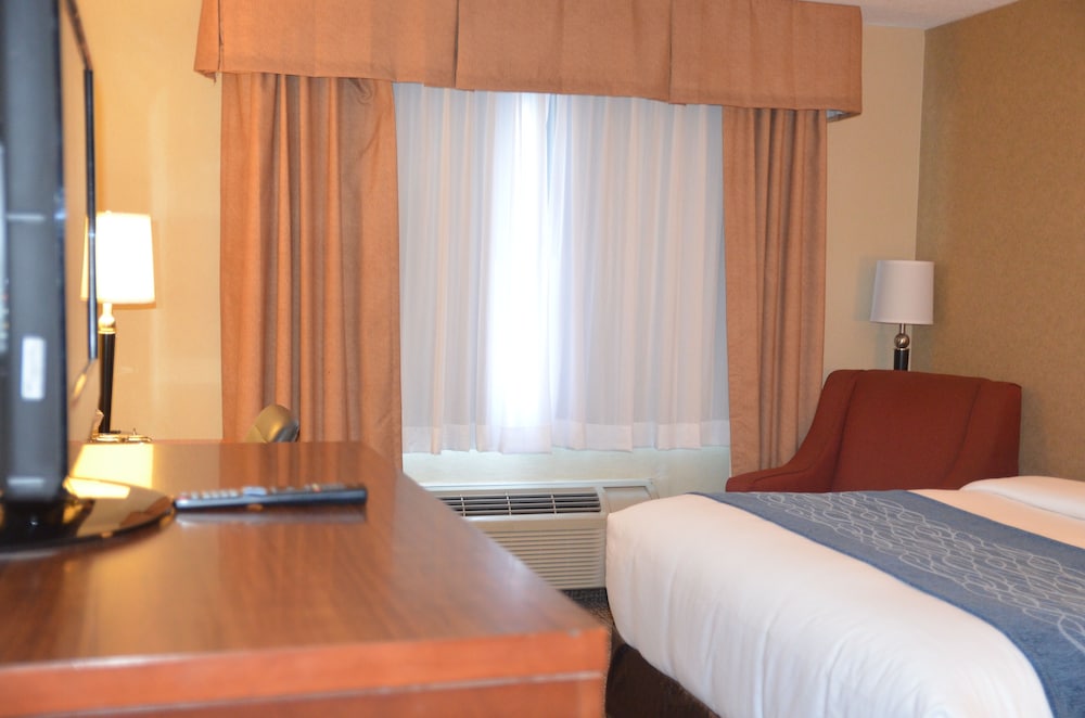 Comfort Inn & Suites Vancouver Downtown City Center 21/48