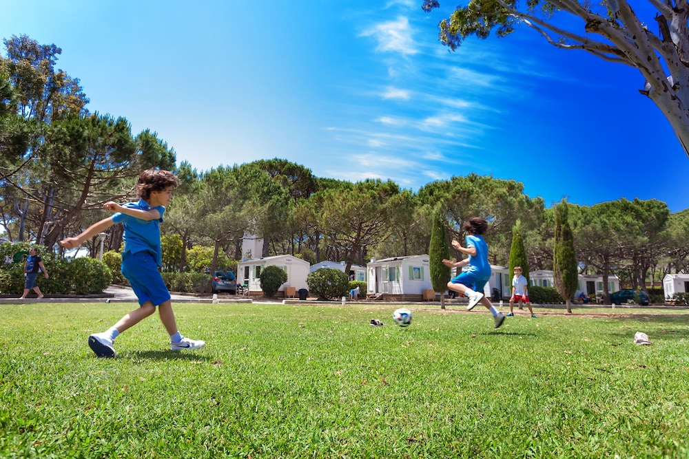 Camping 3 Estrellas 60/69