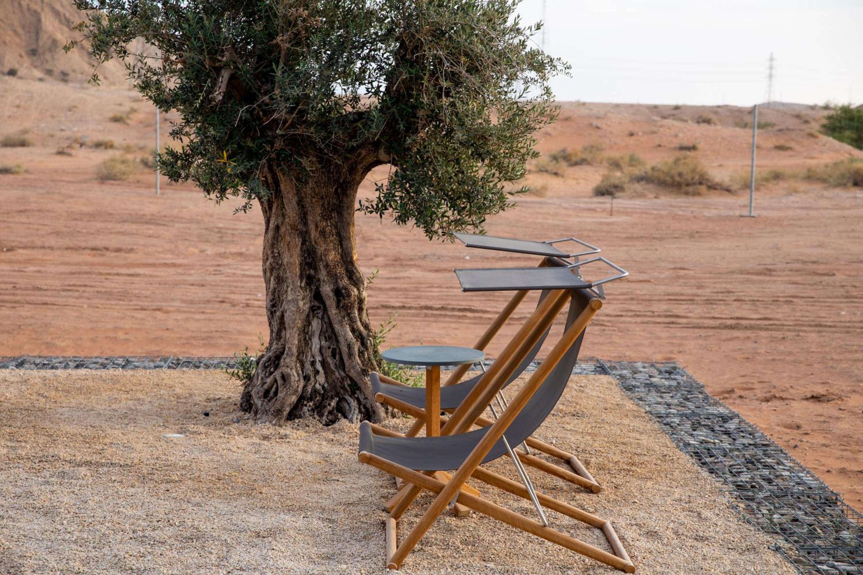 Al Faya Sharjah Retreat 13/25
