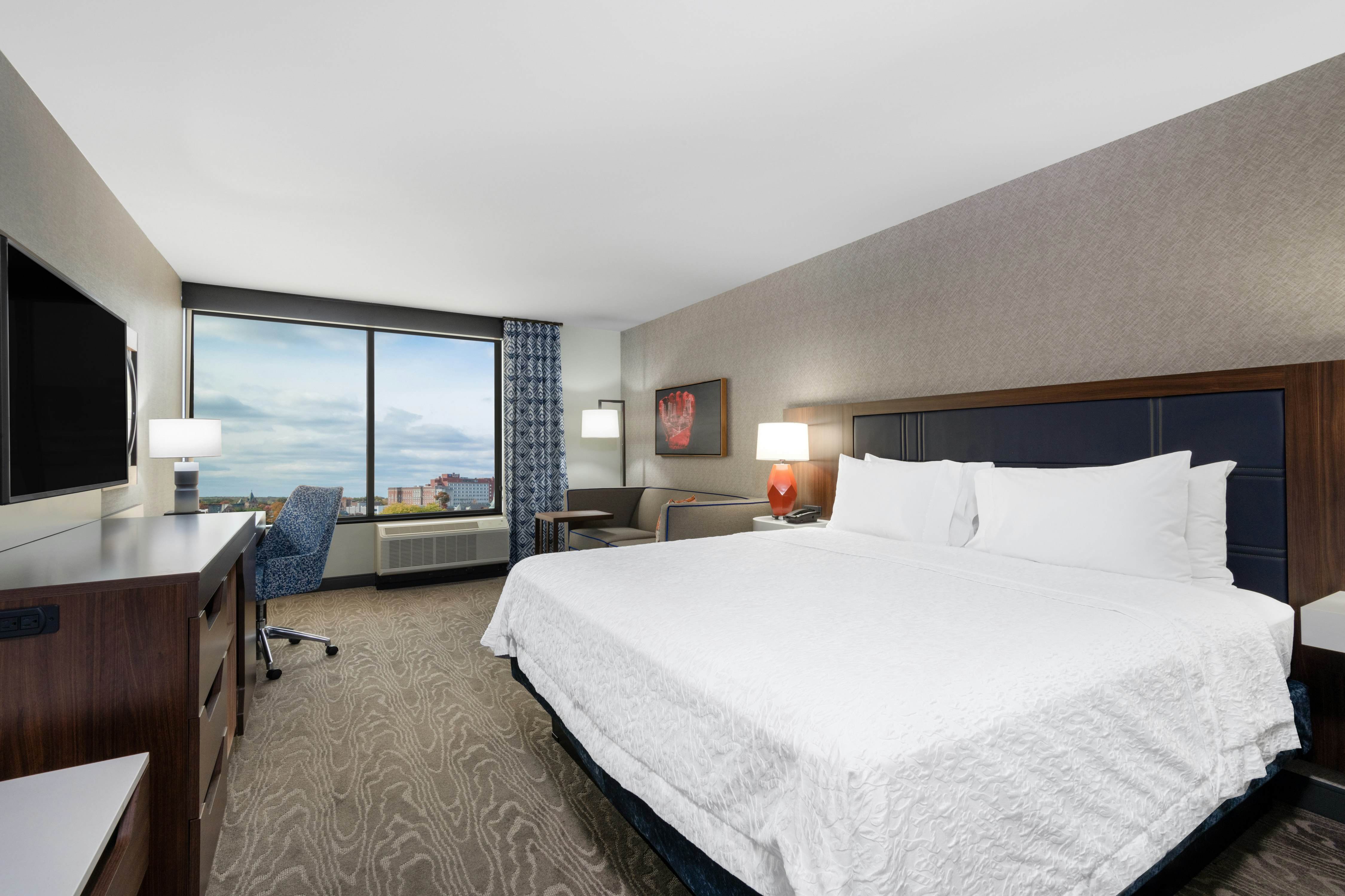 ROOM, KING BED, SOFA