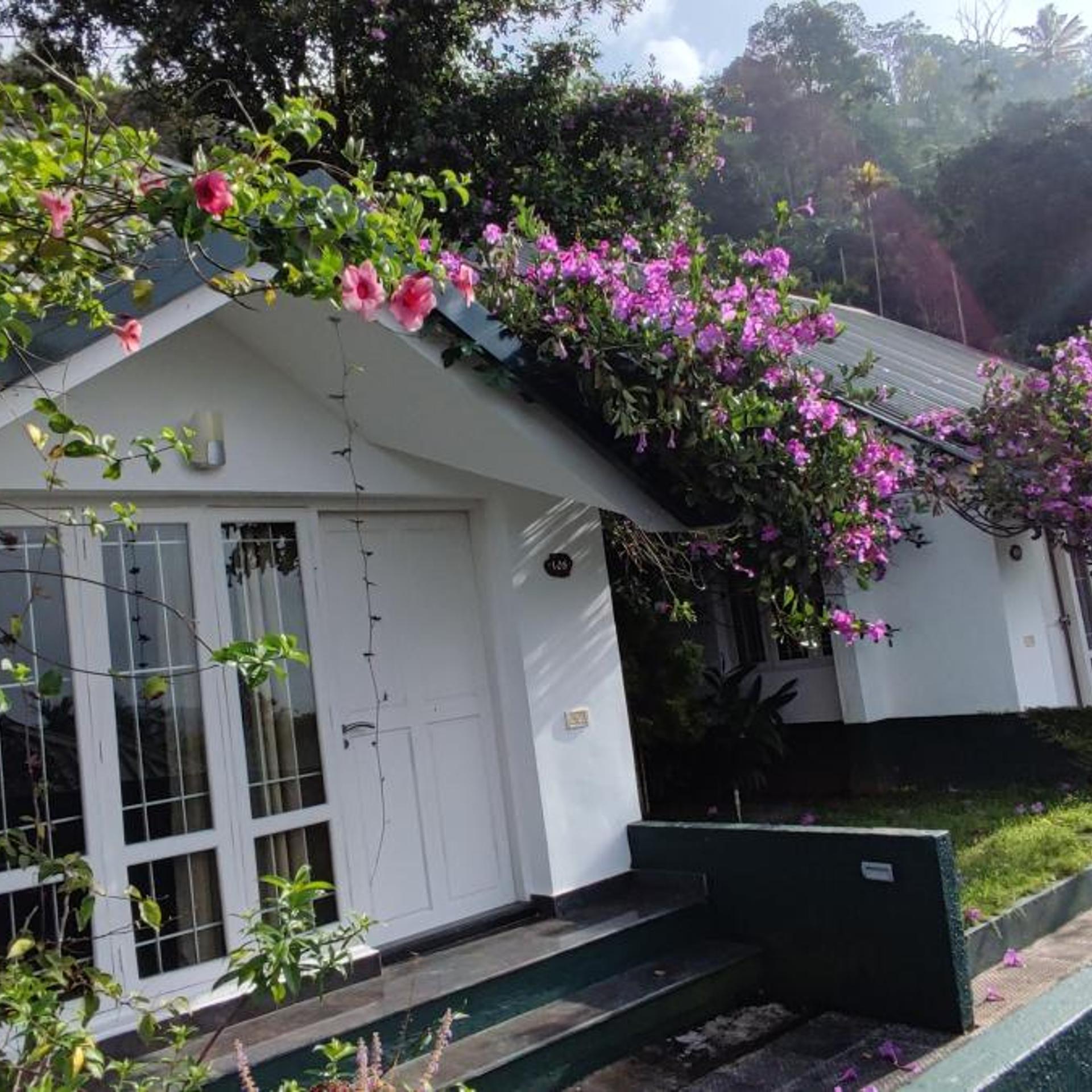 Munnar Tea Country Resort 3/47