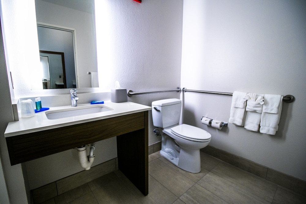 Holiday Inn Express Hotel And Suites Baton Rouge Port Allen 23/49