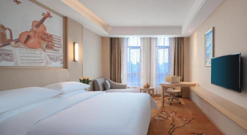 Vienna Hotel (Tongxiang Puyuan) 16/54