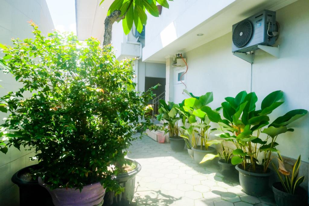 Reddoorz Near Adisucipto Airport 2 34/36