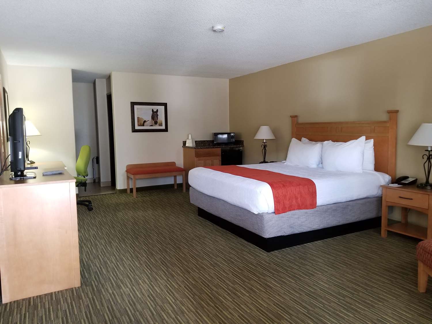 Room, King Bed