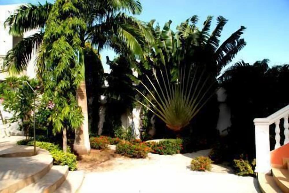 Hôtel Casa Cornelia 41/46