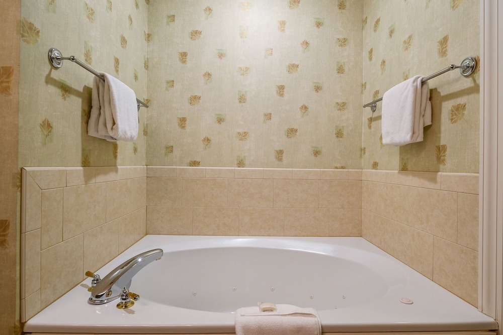 Stoweflake Mountain Resort Spa 45/74