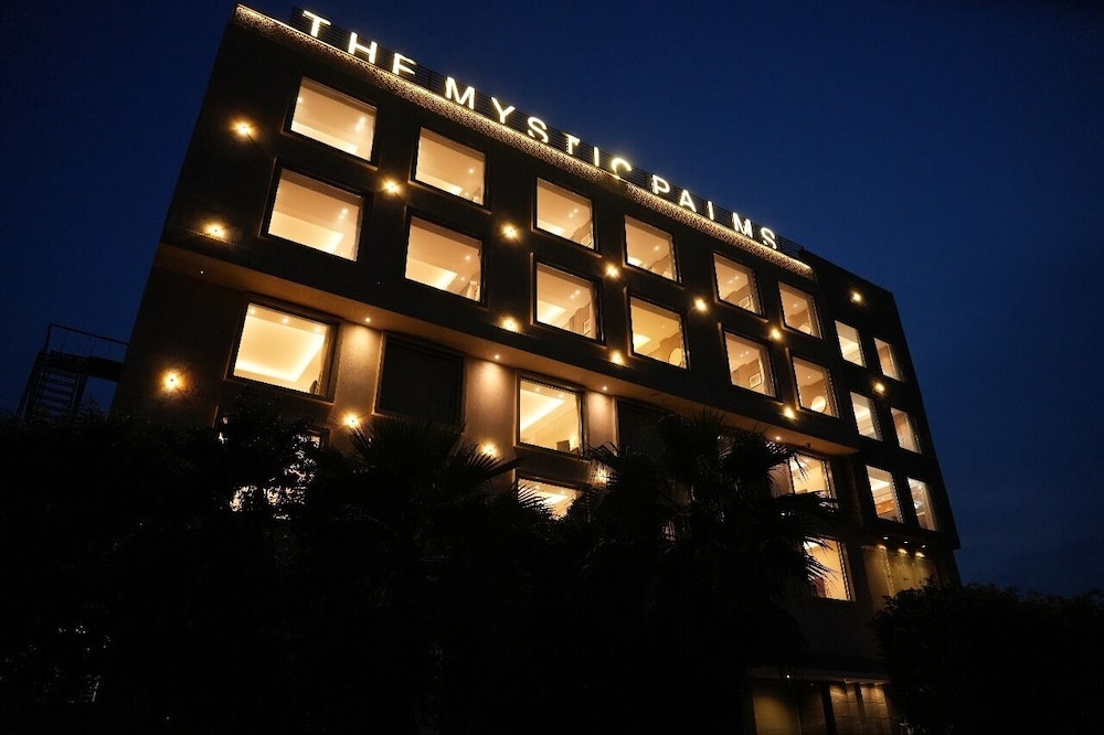 The Mystic Palms 1/50