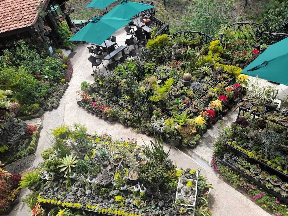 Ella Flower Garden Resort 45/50