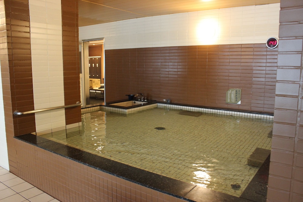 Bayside Hotel Azur Takeshiba 18/43
