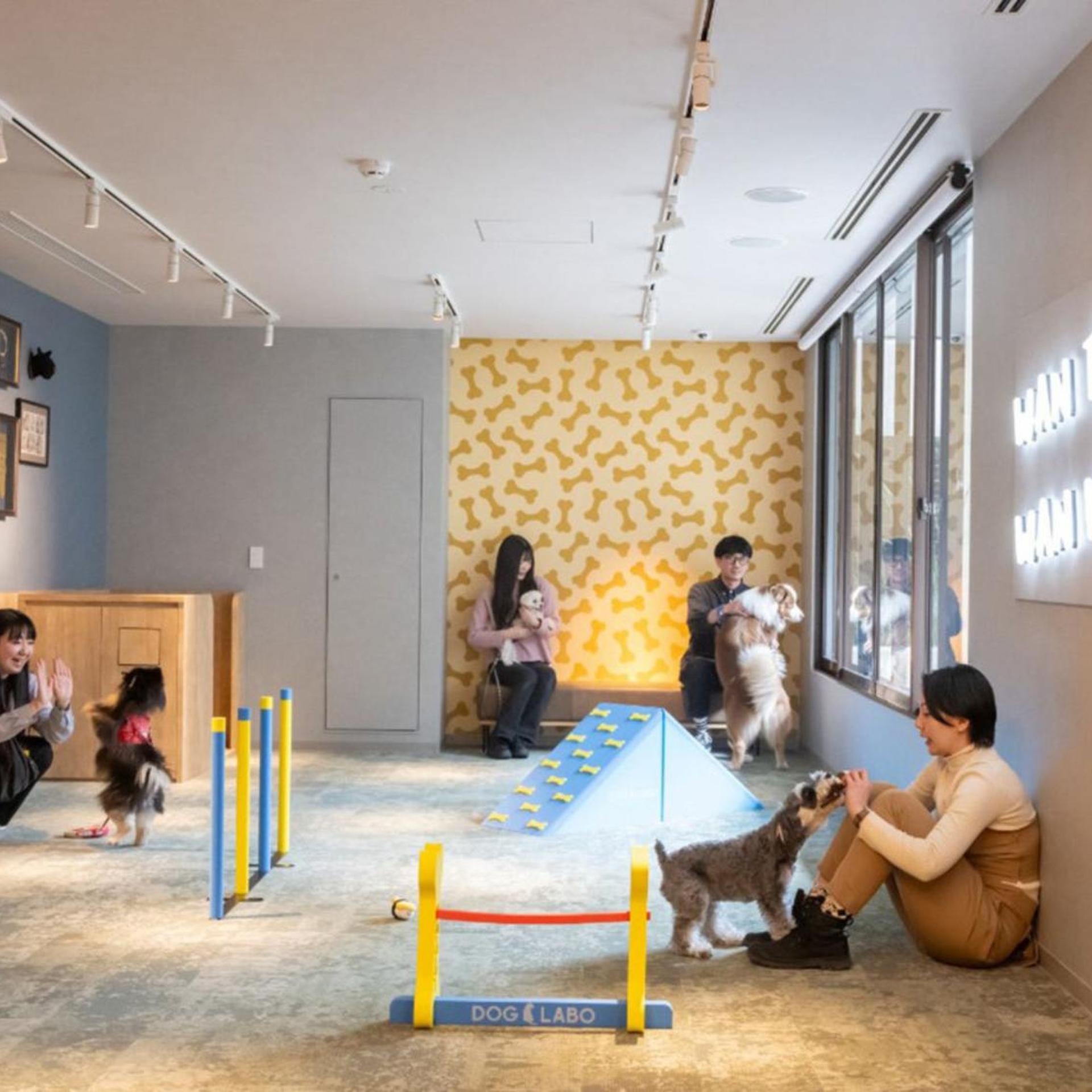 hotel anddoggy Kyoto Nijo 43/50