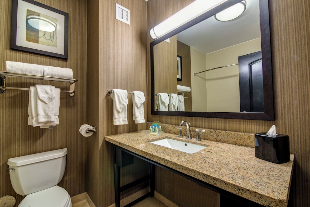 Holiday Inn Arlington Ne Rangers Ballpark 63/69