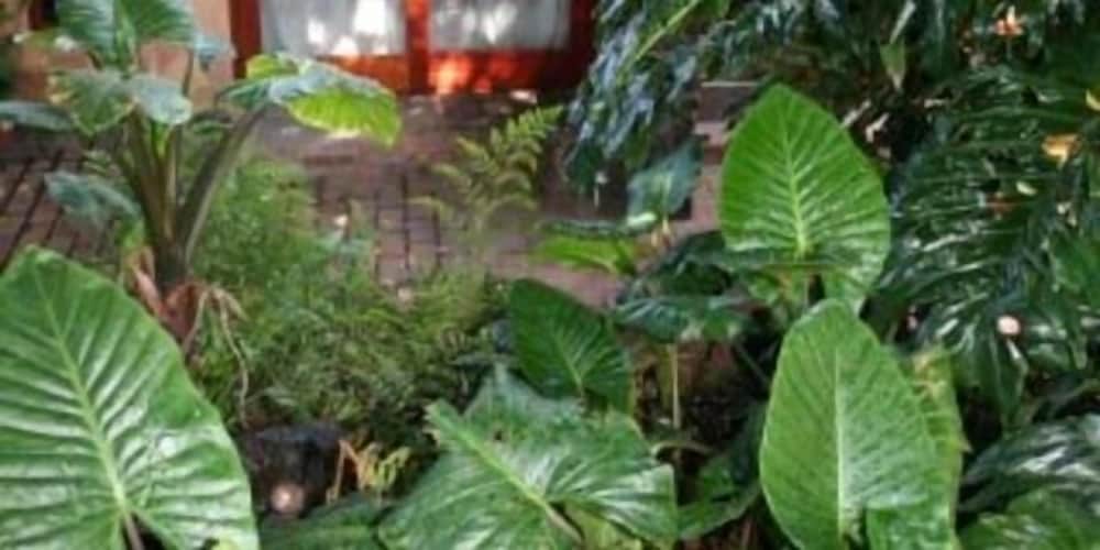 Breena Bnb Guest House 35/50