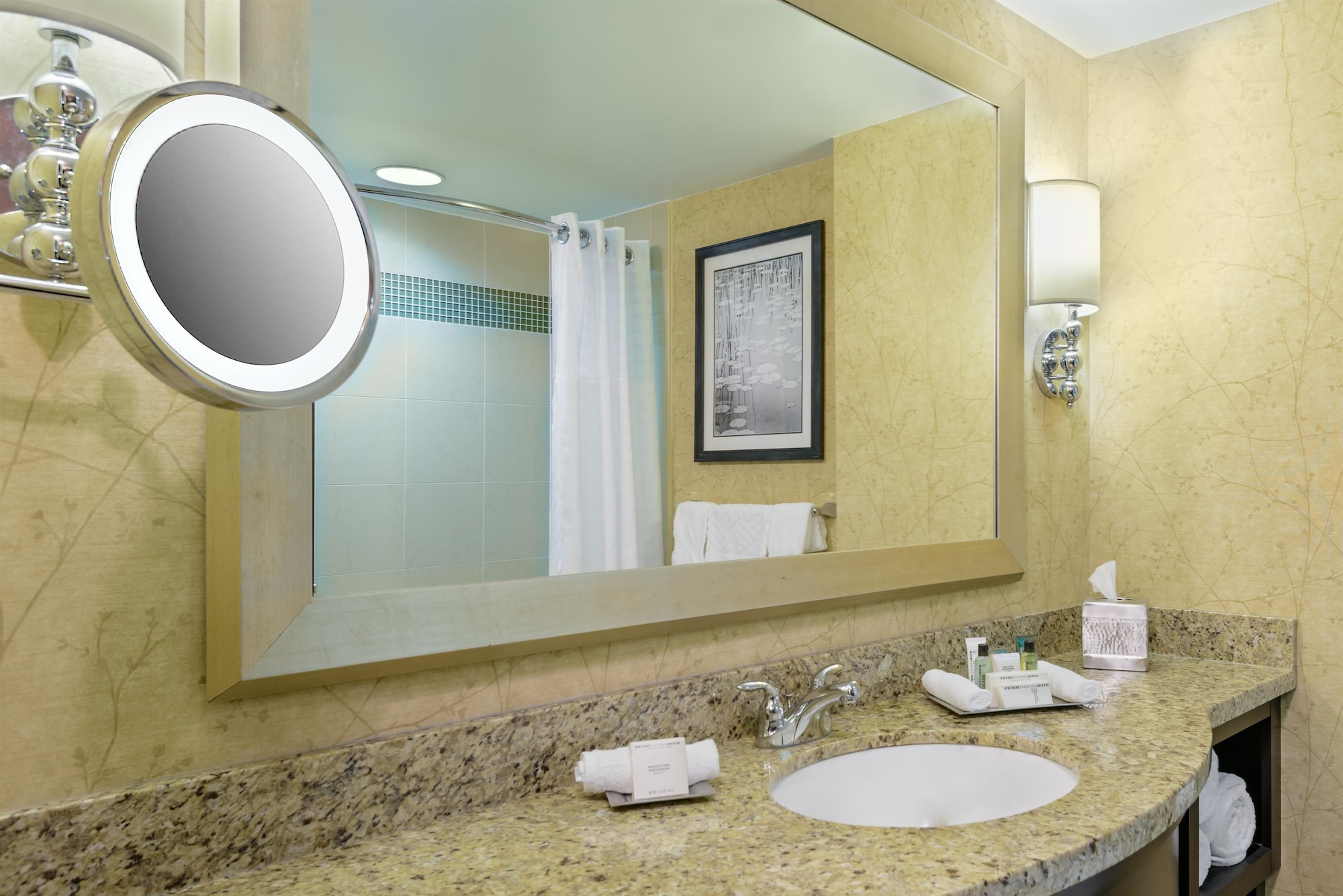 غرفة كلاسيكية بسرير كينج لذوي الإعاقة، Hilton Richmond Hotel & Spa/Short Pump 6/8