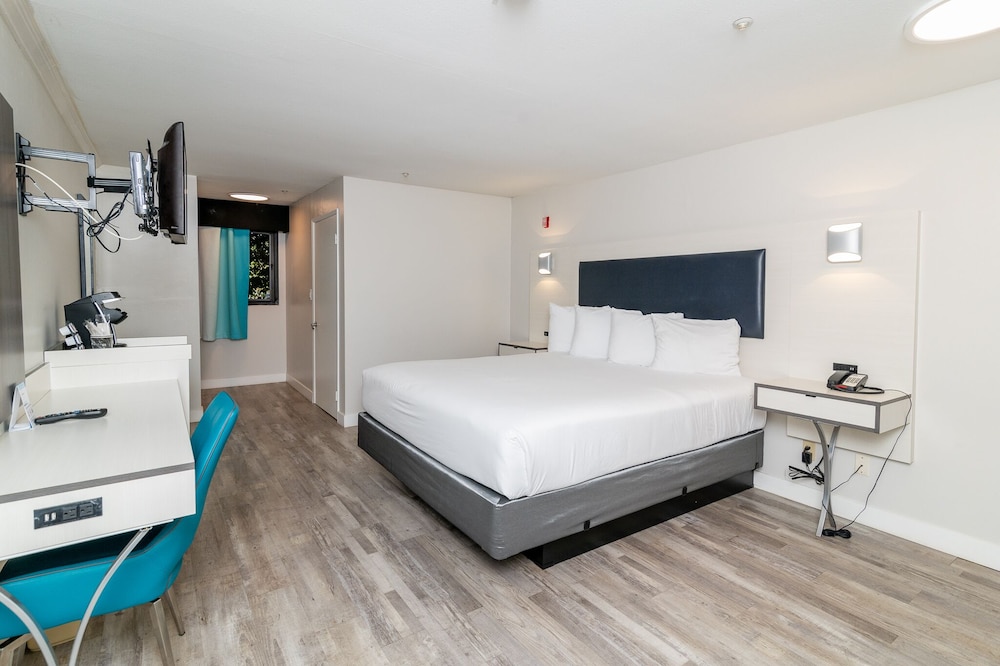 Art Hotel Laguna Beach 23/41