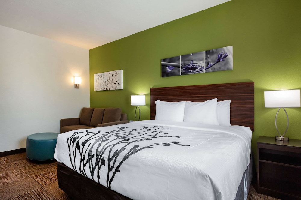Suite, King Bed, Sofa