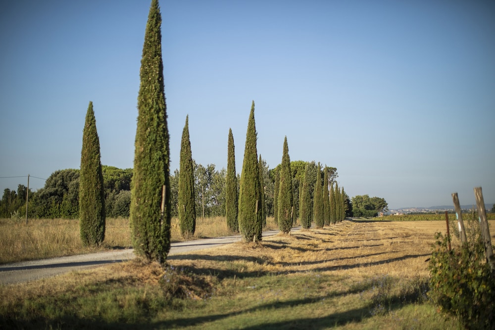 Le Terre Dei Cavalieri 47/55