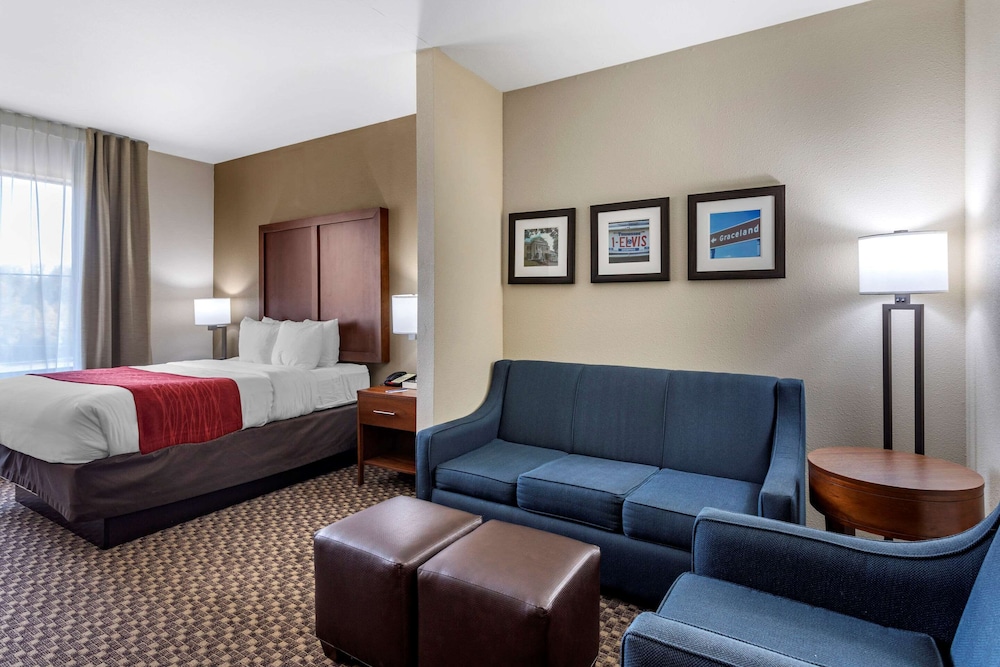 Comfort Inn & Suites Atoka-Millington 21/35