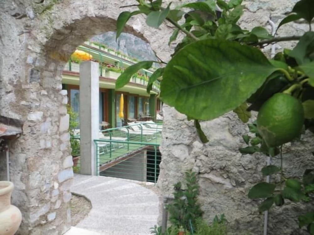 Hotel Alexander 7/46