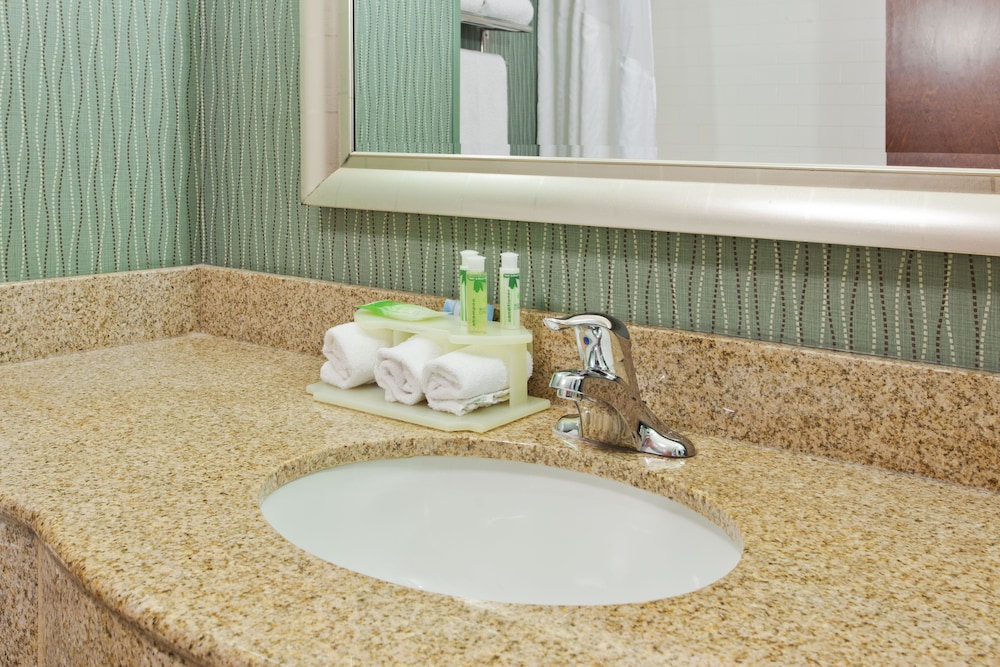 Holiday Inn Express Hotel & Suites Cordele North 64/79