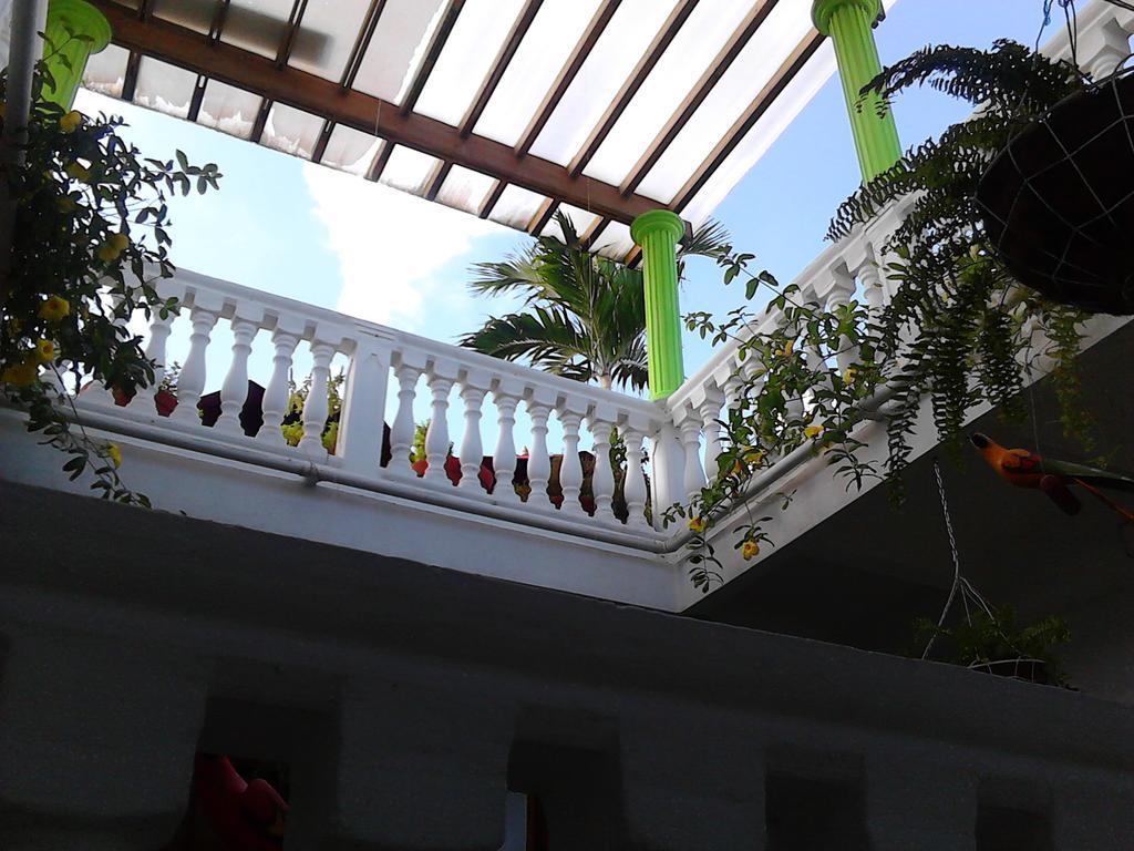 Patio de Getsemani 2/50