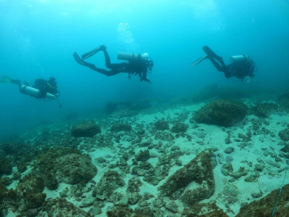 Aquamaster Dive Pousada 44/50