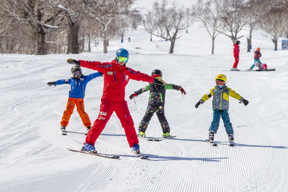 Park Hyatt Niseko Hanazono 25/49
