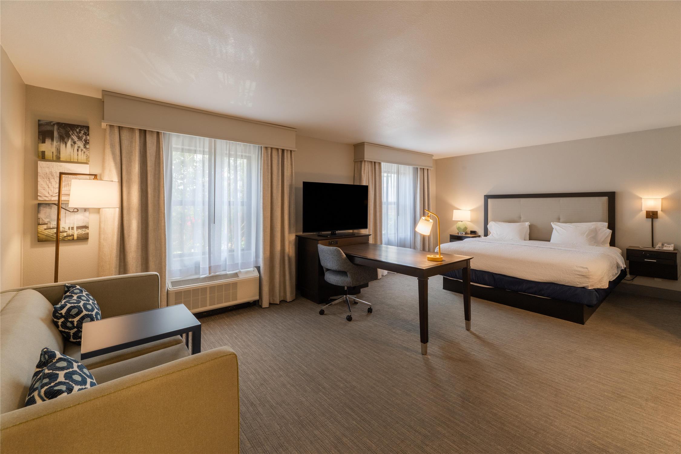 Studio, Suite, King Bed, Sofa
