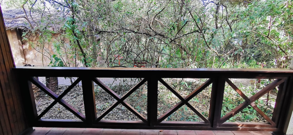 Fig Tree Camp 8/45