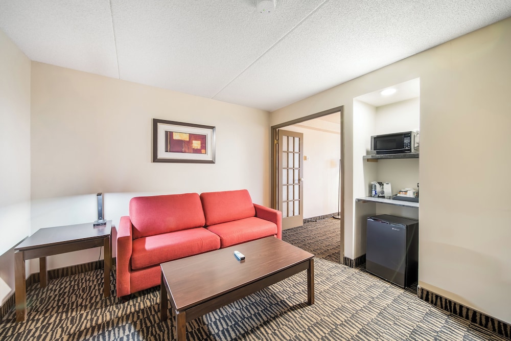 Ramada Plaza By Wyndham Niagara Falls 49/79