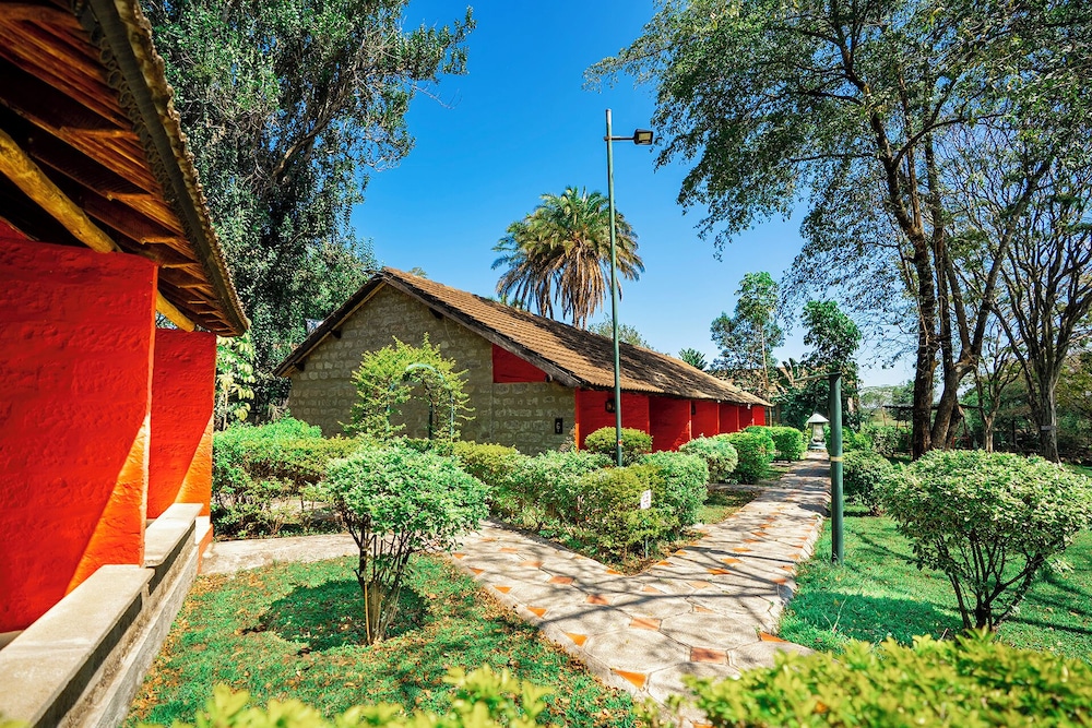 Mara River Lodge 16/50