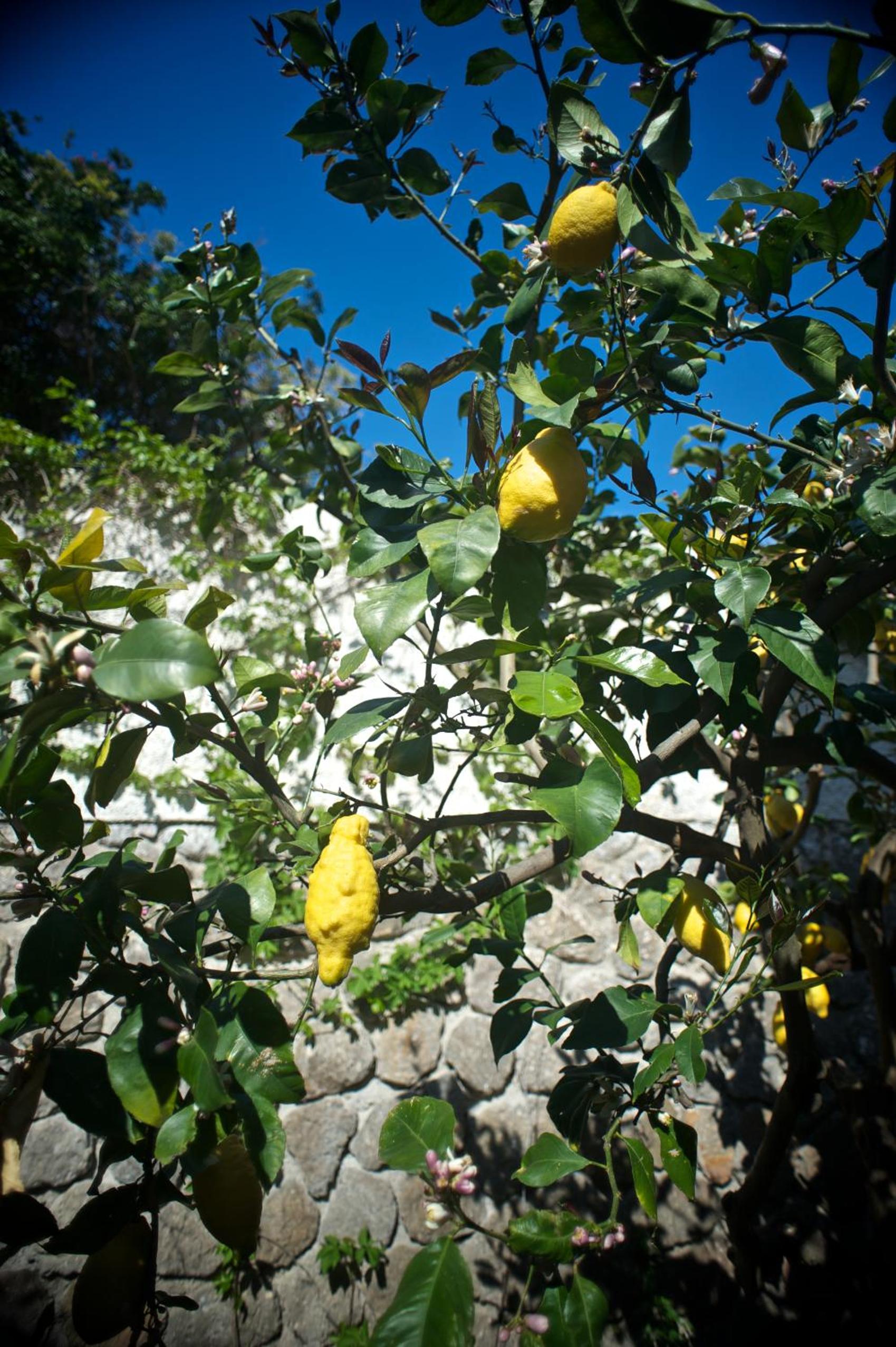 Hotel Corallo Lipari 45/49