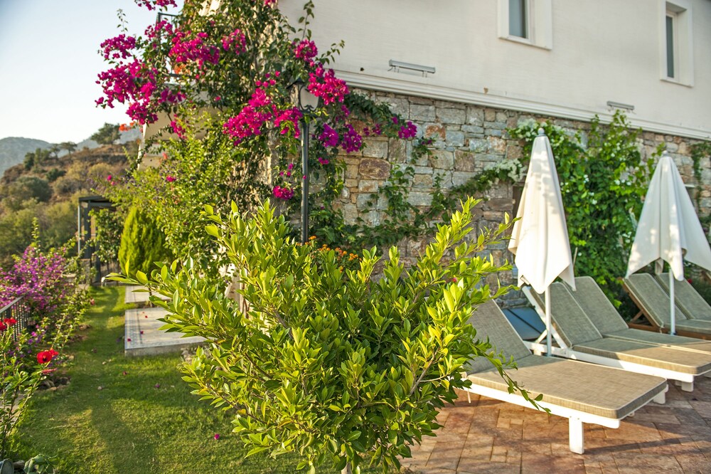 Swan Lake Boutique Hotel - Adults Only 54/67