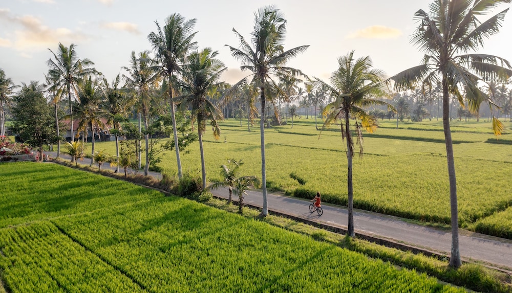 The Wakanda Ubud A Pramana Experience 26/50