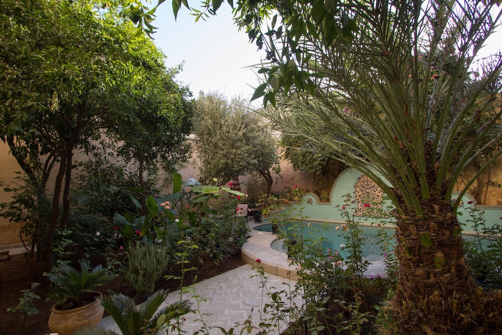 Riad Norma 38/50