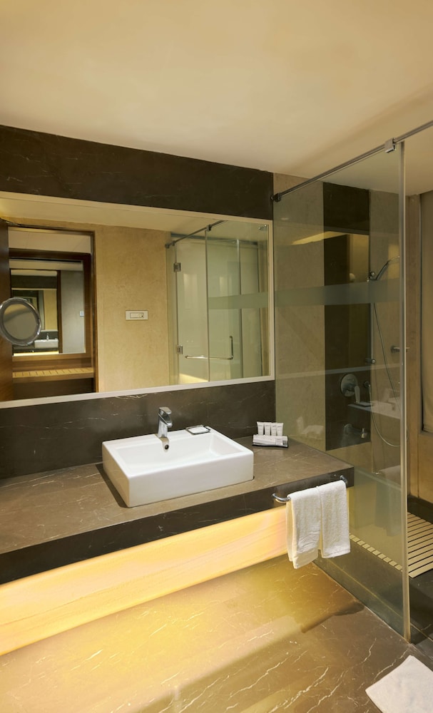 RADISSON UDAIPUR 27/69