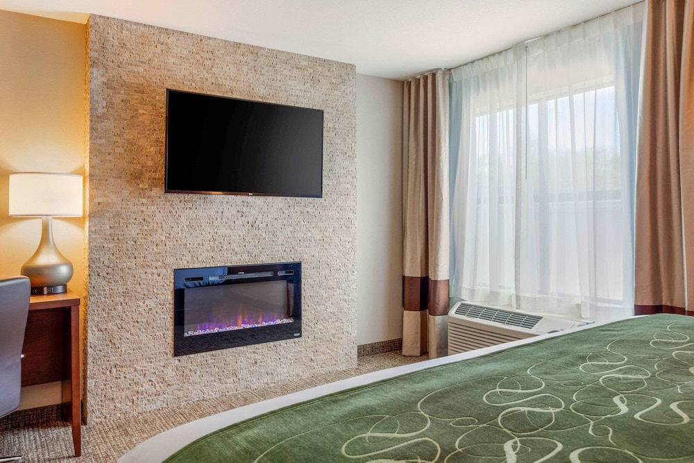 Comfort Inn Suites Schenectady - Scotia 22/44